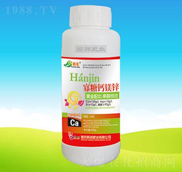 �����}�V�\-�n��ʘI(y��)