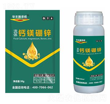 ���w�}�V���\-�A�Sʩ��