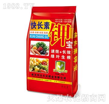 ���L��⛌�-���ƴ�