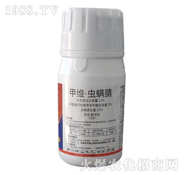 12%�׾S���x����-��