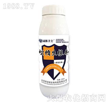 �ɰ�������-�@���l(w��i)ʿ-������