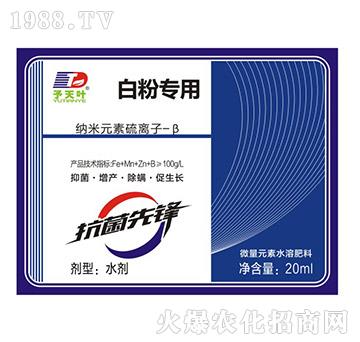 �׷ی��ü{��Ԫ�����x��-��-���~����