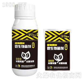 �~�ߌ�(zhu��n)��΢�������-ֲ������-������