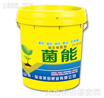 ΢�������-����-Ц��