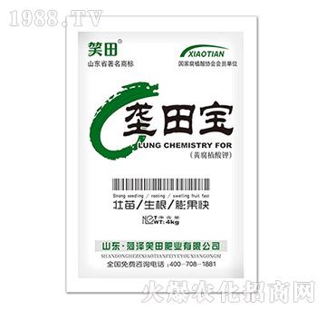 ���-Ц��