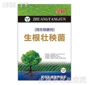 ΢�������-����������