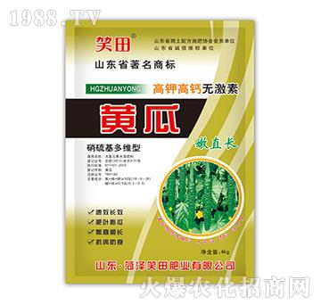 �S����ֱ�L(zh��ng)-Ц��