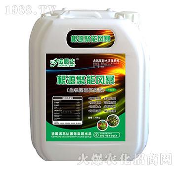 生根提苗抗腐型-根源聚能風(fēng)暴-諾思達(dá)