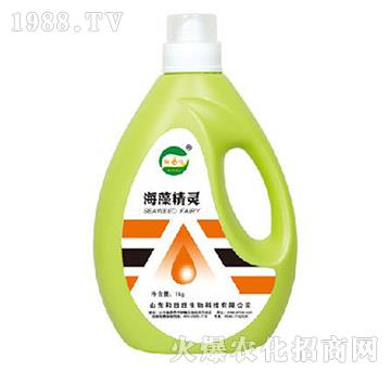 ���徫�`-����������