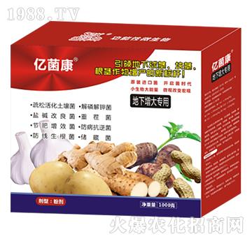 ����������-�|����R-ʢ����