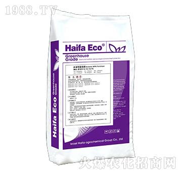 ˮ���ԏ�(f��)�Ϸ�19-19-19+TE-�����S-����