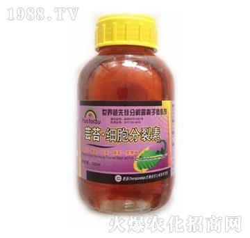 �|̦����������-� ���