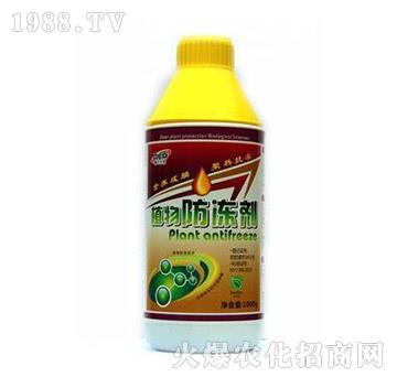 ֲ�������-� �����