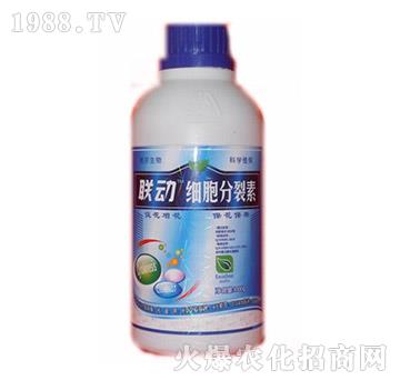 ����������-(li��n)��-� �