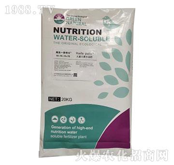 大量元素水溶肥料19-19-19+TE-普洛特