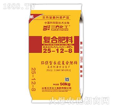 �LЧ�ʏ�(f��)�Ϸ���25-12-8-��������