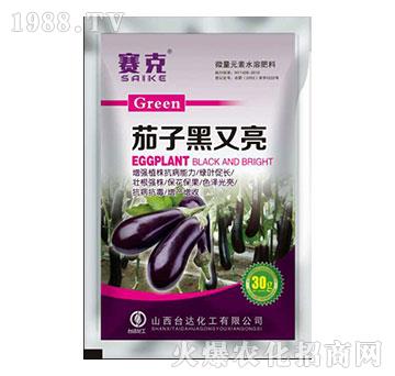 茄子黑又亮-賽克-臺達