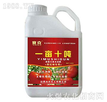 һ��ʮ��-ِ��-�_�_