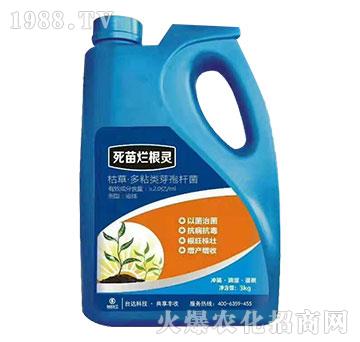 ���砀���`-�_(t��i)�_(d��)