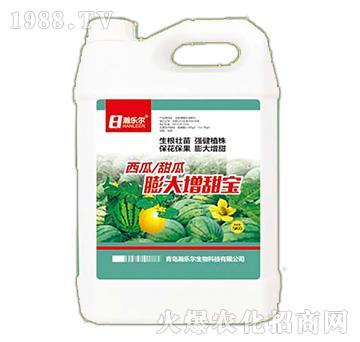 ����������������-�