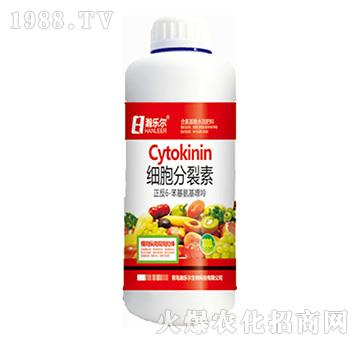 ����������-嫘���