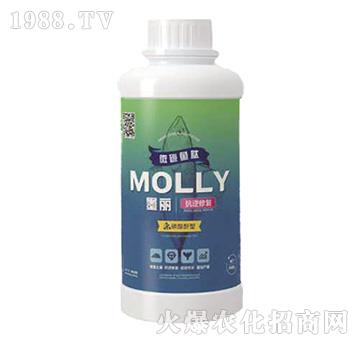 ī�������ޏ�-����