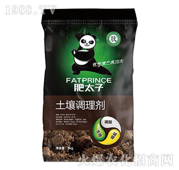 �����{�턩-��̫��