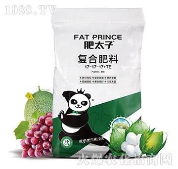 �ͺϷ���17-17-17+TE-��̫��