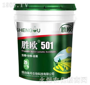 �ٚW501-ζ������