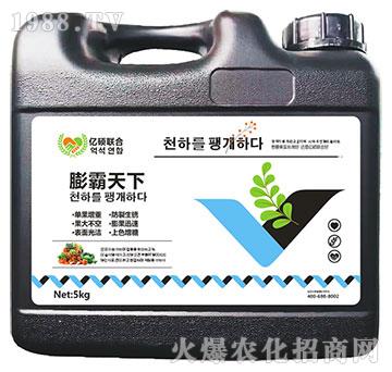 �������-�R�Sֲ��