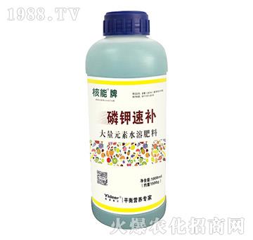 ����������a-� �����