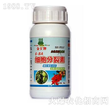 ����������-��-� �