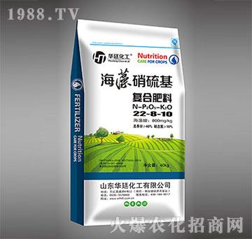 ���������22-8-10�ͺϷ���-�A͢����