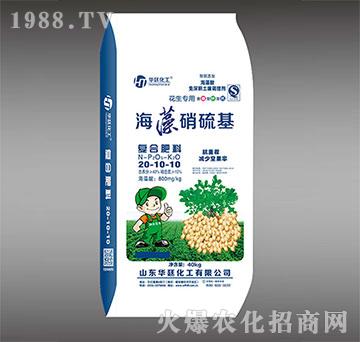 ���������20-10-10��(f��)�Ϸ���-�A͢����