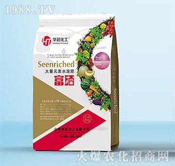 ����Ԫ��ˮ�ܷ�-����19-19-19+TE-�A͢����