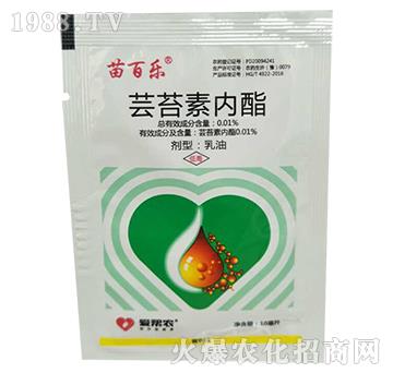 �|̦�؃�(n��i)��-��٘�(l��)-������