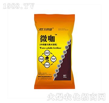 ΢��-�f�ݿ�