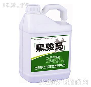 ���E�R������Һ�w����-