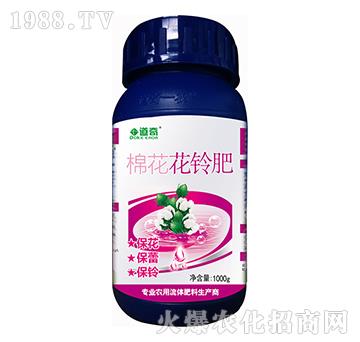 �޻���⏷�-����