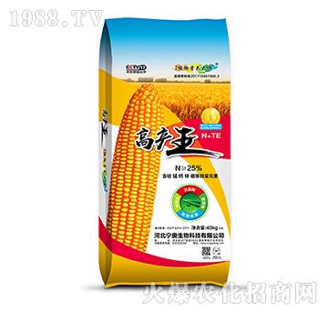 �߮a��-���W����