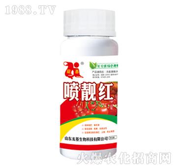 ���n�t-��������