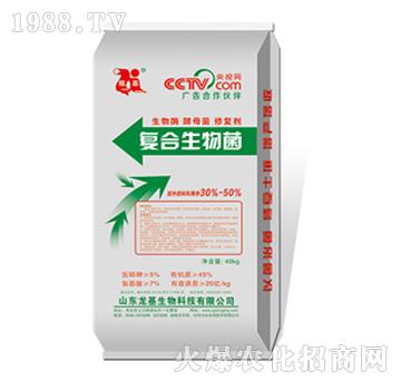 �ͺ������-��������