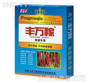 ��������-�����������I�B(y��ng)���a�{�턩-�S�f��