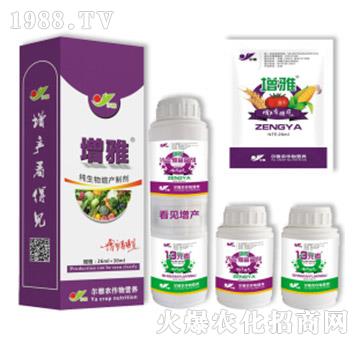 ���ţ��ײͣ�-Ǭ�r(n��ng)