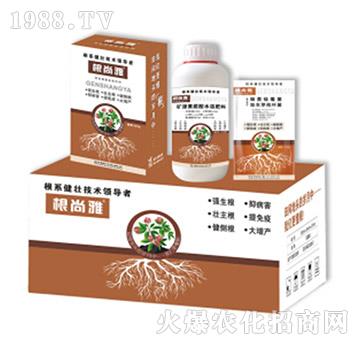 ������-Ǭ�r(n��ng)