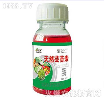 ��Ȼ�|̦��-��ʿ��