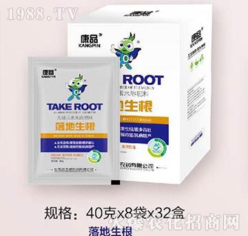 �������-��ʿ��