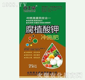 ��ֲ��⛛_ʩ��-��ʿ��