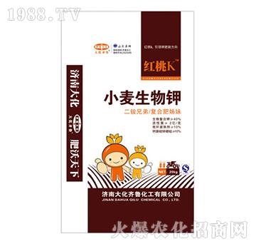 С�������-�t��K-���R��