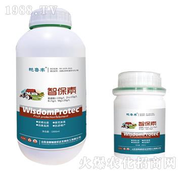 �Ǳ���-�G���S-���_(d��)��